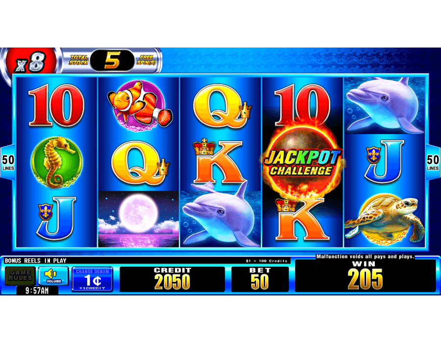 dolphin reef slot